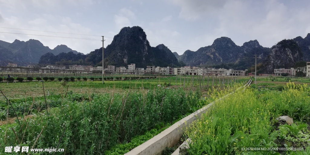 蔬菜田野风光图片