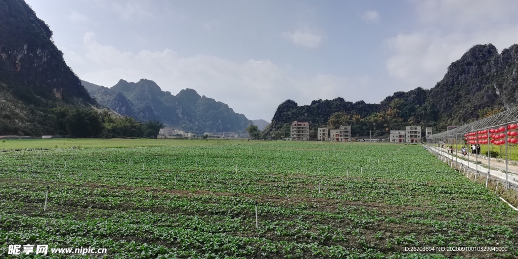 蔬菜地田野风景