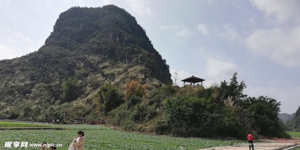 大山田园风光