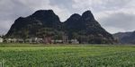 乡村田野风景