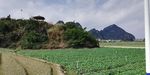 山村田野