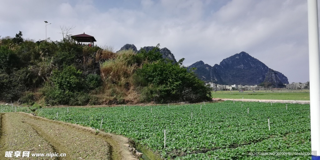 山村田野