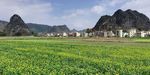 田园风景