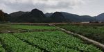 山川田园风光