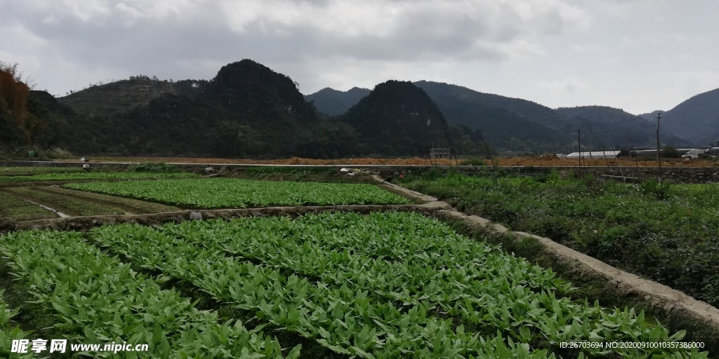 山川田园风光