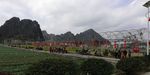 乡村自然风景