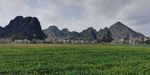大山田园风景