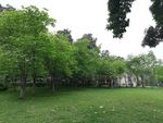 绿树草地风景