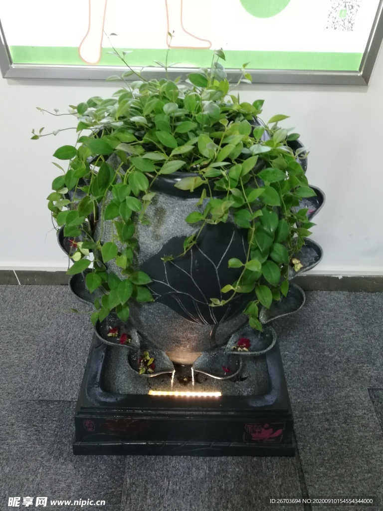 花草艺术