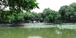 公园湖泊风景