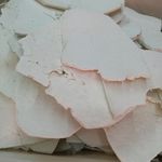 茯苓片