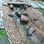 公园小溪