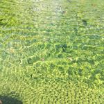 水池水波纹理背景