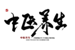 中医字体