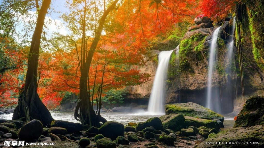 风景
