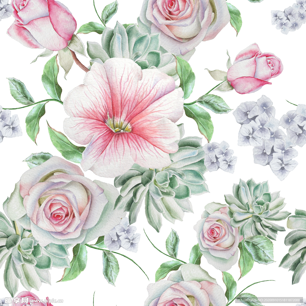 玫瑰花