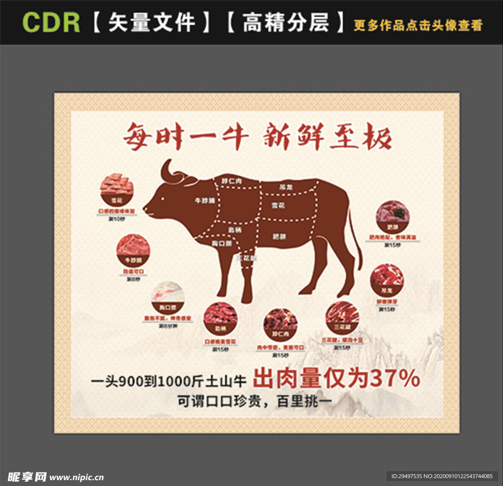 牛肉分割图