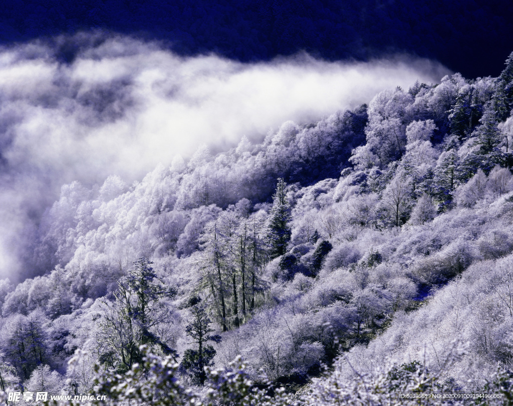 自然风景