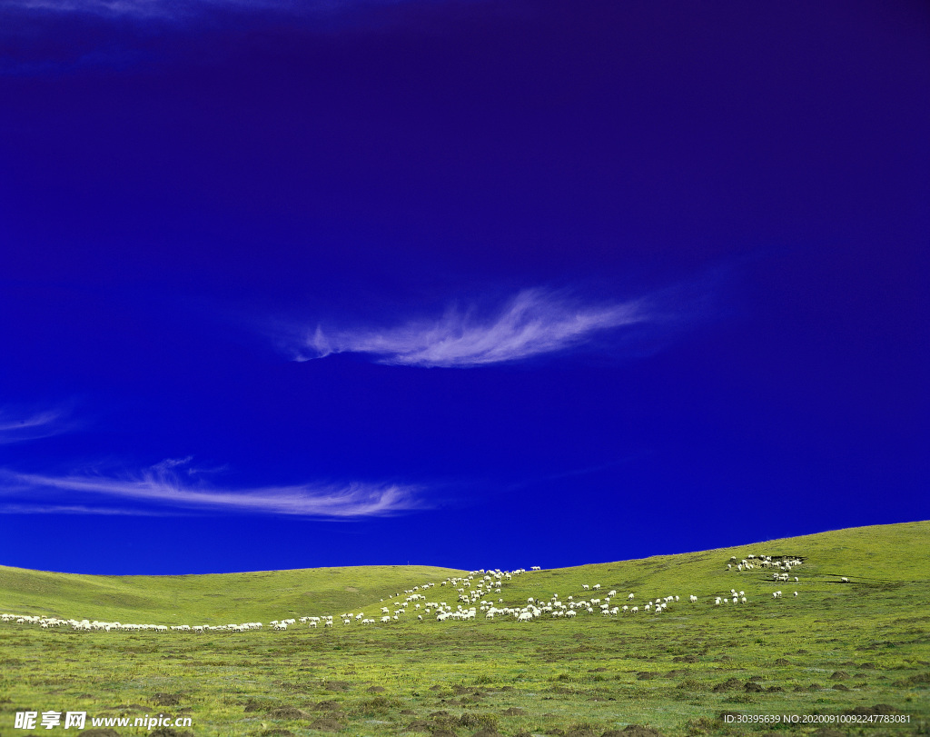 自然风景