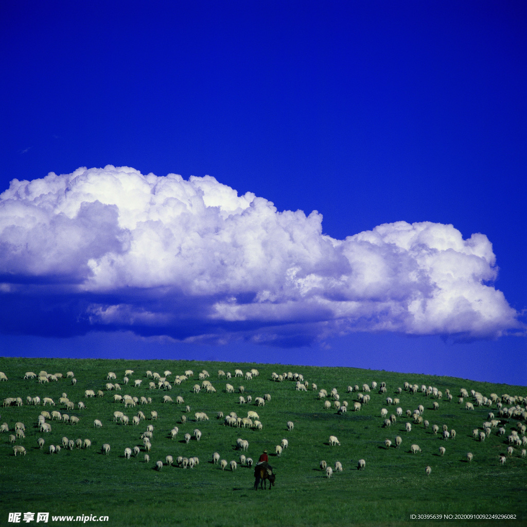 自然风景