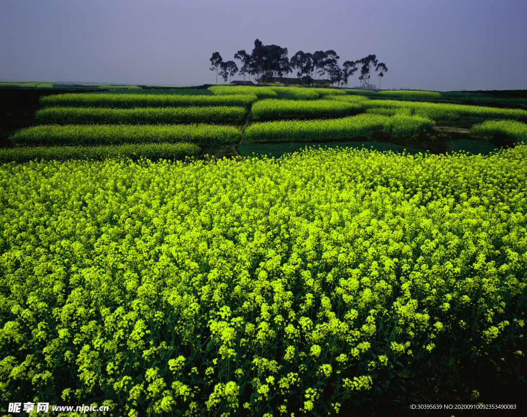 自然风景