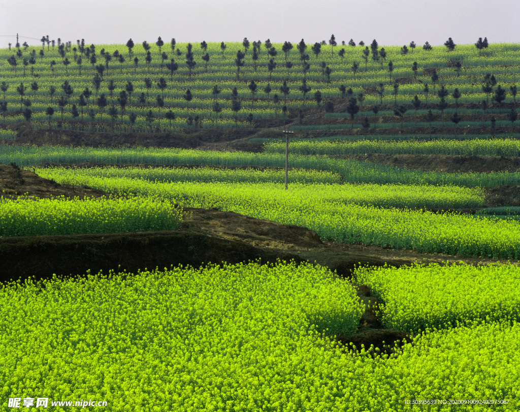 自然风景