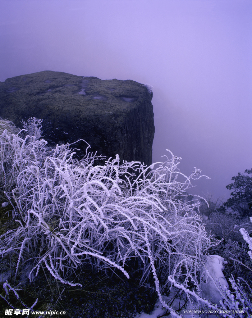 自然风景