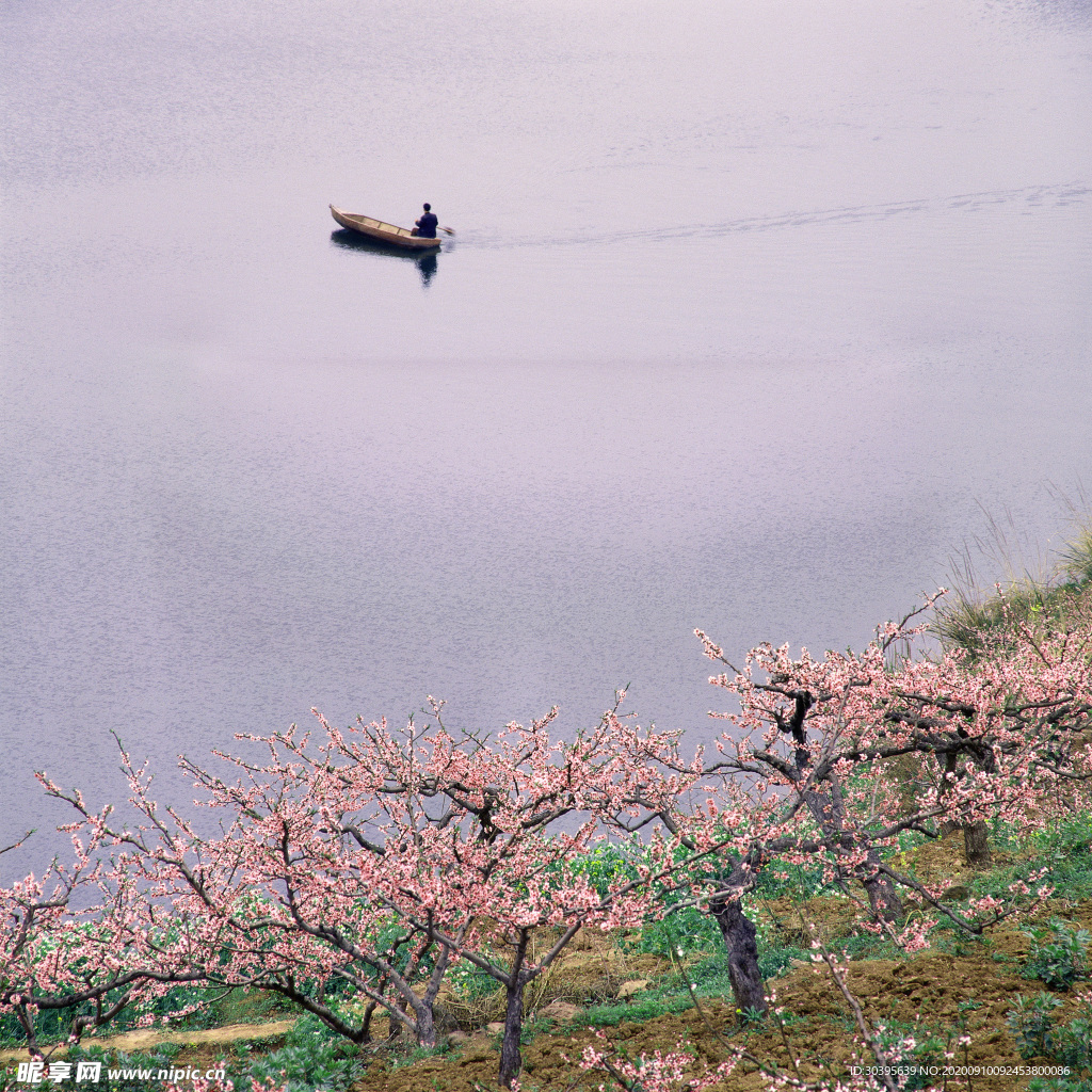 自然风景