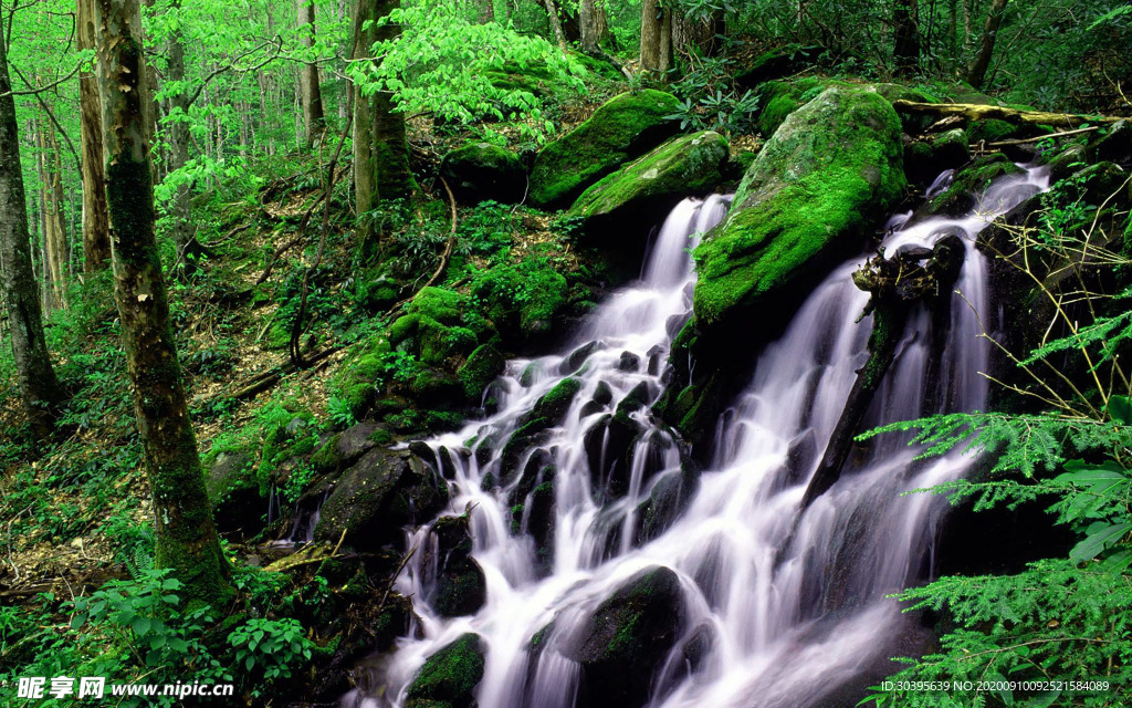 自然风景