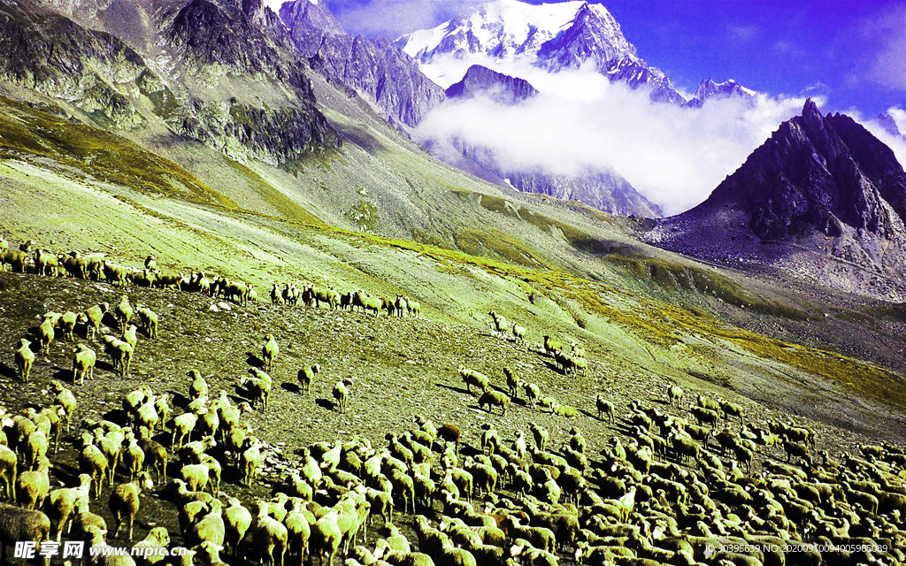 自然风景