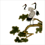重阳节素材