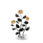 重阳节素材