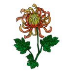 重阳节素材