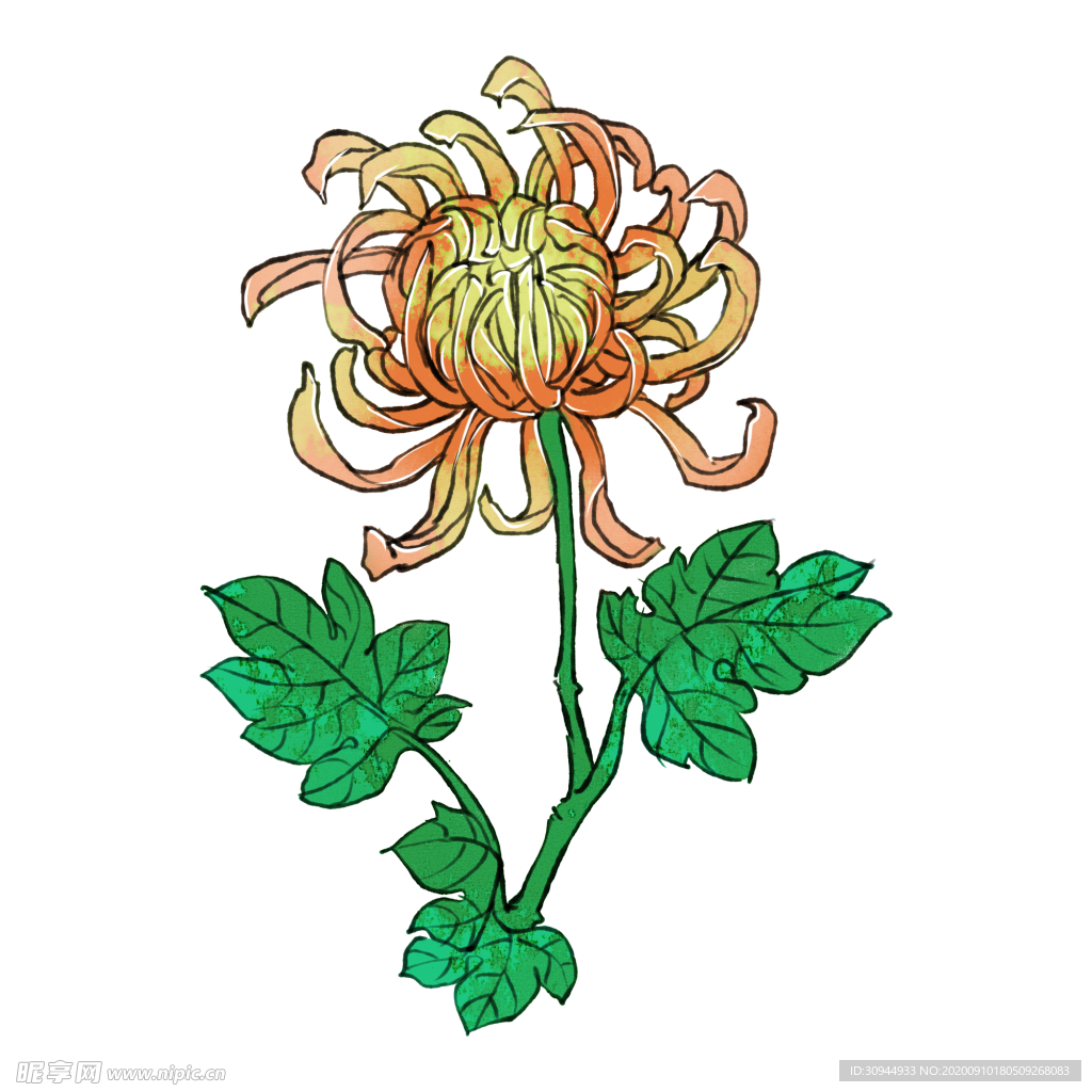 重阳节素材
