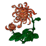 重阳节素材