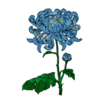 重阳节素材
