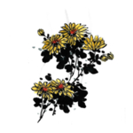 重阳节素材