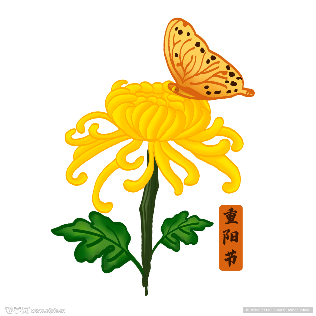 重阳节素材