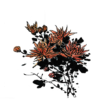 重阳节素材