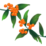 重阳节素材