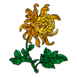重阳节素材