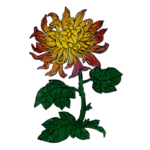 重阳节素材