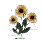 重阳节素材