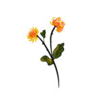 重阳节素材