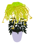 重阳节素材