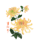 重阳节素材