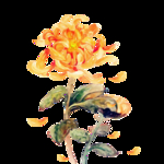 重阳节素材