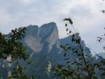 远山