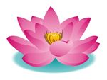 莲花 上肆