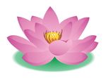莲花 上伍